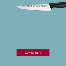 Victorinox - Carving Knife